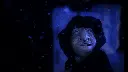 MARQUIS_PRORES-HQ_24FPS_HD_BUMP.mov.01_45_28_07.Still002.webp