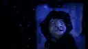 MARQUIS_PRORES-HQ_24FPS_HD_BUMP.mov.01_45_28_07.Still002.webp